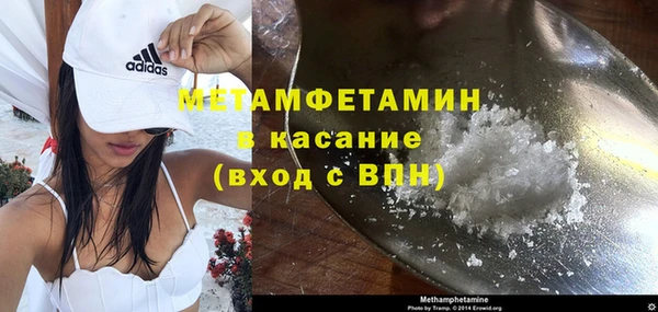 гидра Алексин