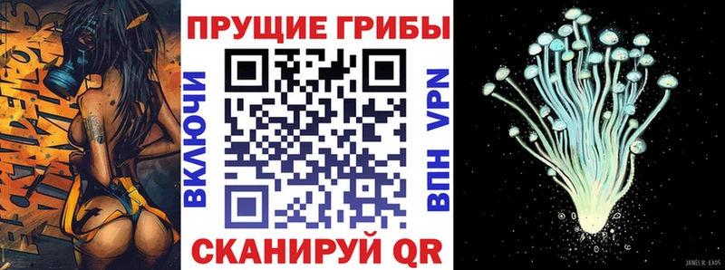 мега рабочий сайт  Данилов  Псилоцибиновые грибы MAGIC MUSHROOMS 