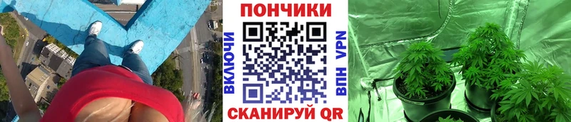 Бошки марихуана ГИДРОПОН  где купить   Данилов 